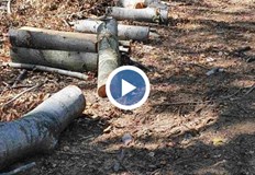 Тук няма сензация а жалка действителностЗагрижена гражданка сигнализира в социалните