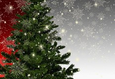 Цените на дръвчетата варират между 3 и 40 леваМинистерството на