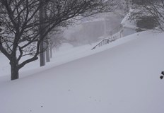 Специално обучени кучета и около 100 спасители подкрепени с хеликоптери