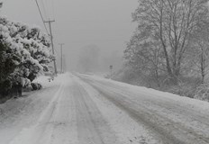 В Североизточна България ще има повишена вероятност за виелици и