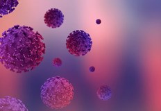 През изминалия ден са направени над 2 200 теста в