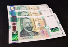 Правоимащите лица не подават заявленияМежду 12 и 23 ти декември