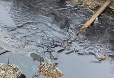 И двата водещи сорта нефт се насочиха към седмична загуба