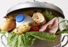 Общите количества на образувани хранителни отпадъци в страната е значителни