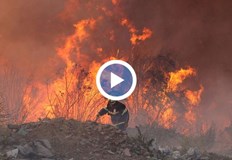 От началото на летния сезон в страната са регистрирани 44