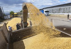 В момента няма никакъв износ вътрешна търговия никаква така