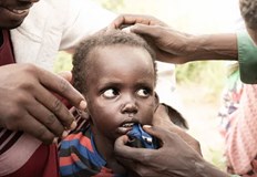 След шест дни детето е имало само ухапвания от комари