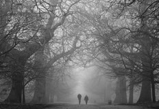 Жълт код е обявен за 7 области в Северна България