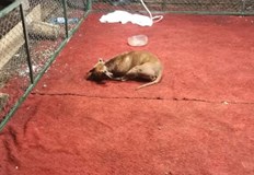 Задържаните са между 17 и 63 годишна възрастАрестуваха участници в нелегални