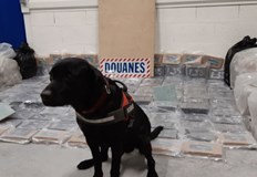 Двамата може да получат до 10 години затворМитнически служители в