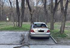 Счупено е задното обзорно стъкло на превозното средствоКлон на дърво