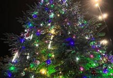 Само сняг липсва вече пише Дилян Борисов автор на видеото