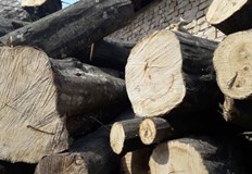 Проверките са били в частни имотиНезаконна дървесина са установили служители