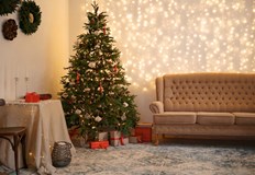 Елхата е един от ключовите символи на КоледаКаква е традицията