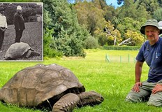 Джонатан е вписан в Книгата на рекордите на Гинес като