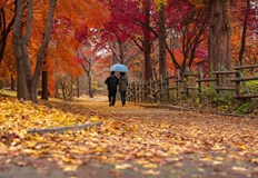 Максималните температури ще бъдат между 11° и 16°През нощта ще