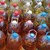 Иззеха близо 900 литра нелегален алкохол в Ловешко и Плевенско