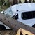 Паднало дърво премаза три автомобила в Пампорово