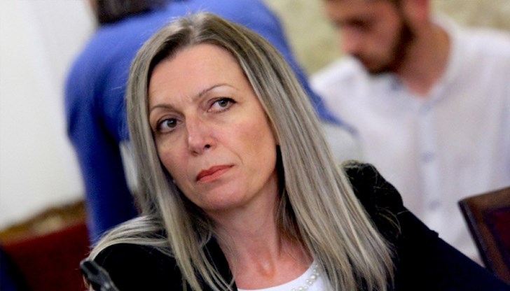 Граничарите страдат и от липса на адекватна техническа обезпеченост, призна директорът на ГД "Гранична полиция" гл. ком. Росица Димитрова