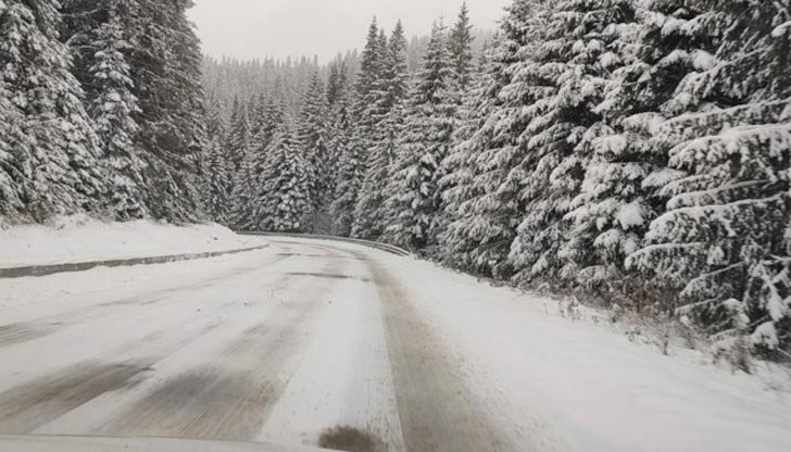 Преди да предприемете пътуване, уверете се, че автомобилите ви са готови за зимата
