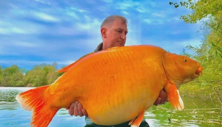 Борбата с 30-килограмовия екземпляр е продължила повече от 22 минути