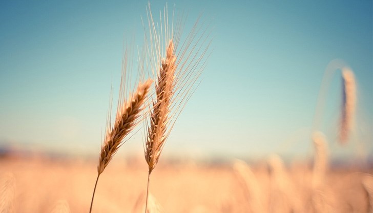 Твърдението на агенцията се основава на сателитни снимки и моделиране Твърдението на агенцията се основава на сателитни снимки и моделиране