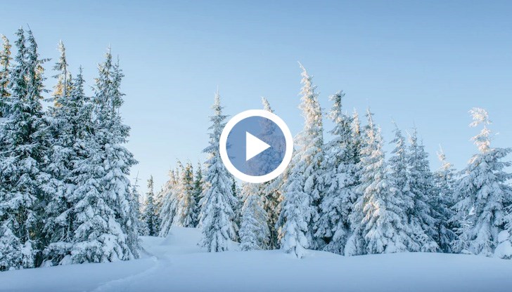 Мъжете от отряда прекараха 4 дни в планината