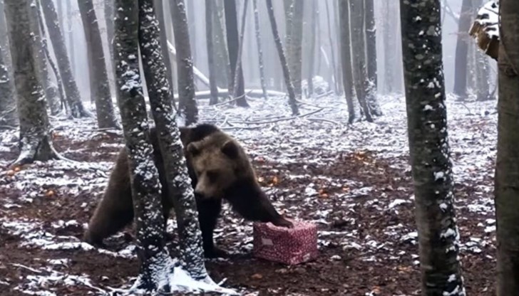 Коледните подаръци бяха в празнични кутии Коледните подаръци бяха в празнични кутии