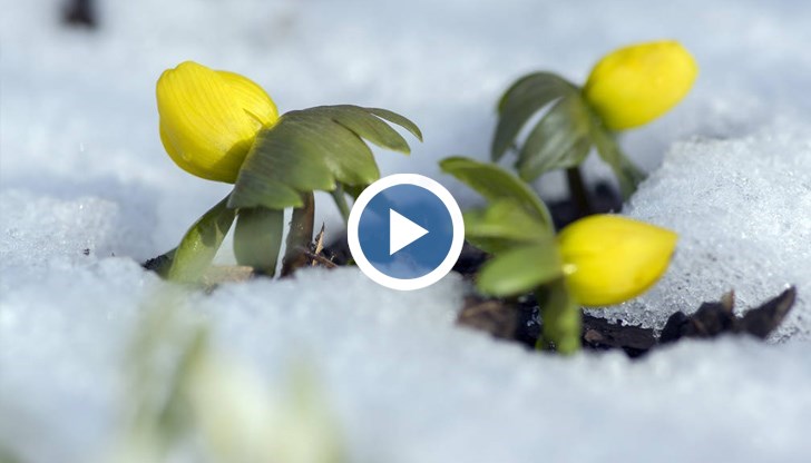 Георги Рачев: Януари започва с много топлина