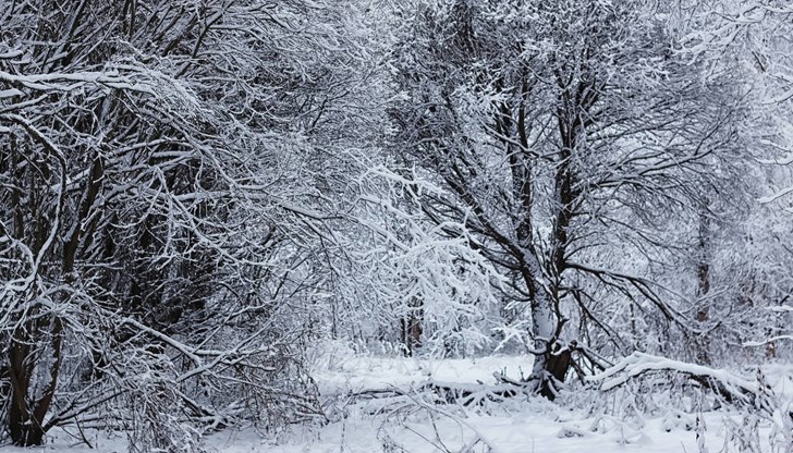 В следобедните часове и през нощта на места в страната ще се образува снежна покривка В следобедните часове и през нощта на места в страната ще се образува снежна покривка