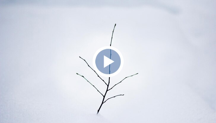 Смъртните случаи в страната са най-малко 19