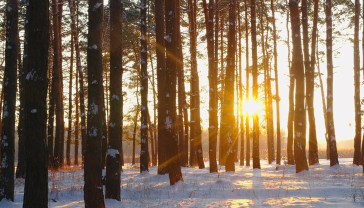 По-обилни снеговалежи са възможни след 7 - 8 януари 2023 По-обилни снеговалежи са възможни след 7 - 8 януари 2023
