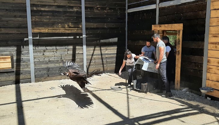 Андалусия беше пусната на свобода през ноември Андалусия беше пусната на свобода през ноември