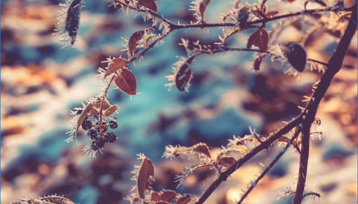 В Русе до ранния следобед ще преобладава променлива облачност с максимална температура за деня 10 градуса В Русе до ранния следобед ще преобладава променлива облачност с максимална температура за деня 10 градуса