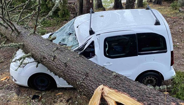 Ураганният вятър, придружен с дъжд се е развихрил около три часа след полунощ