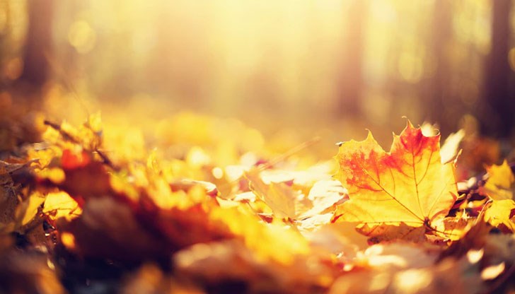 До обяд ще има мъгли на места в Дунавската равнина и Горнотракийската низина До обяд ще има мъгли на места в Дунавската равнина и Горнотракийската низина