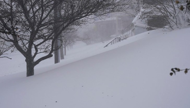 Специално обучени кучета и около 100 спасители, подкрепени с хеликоптери, издирват хората Специално обучени кучета и около 100 спасители, подкрепени с хеликоптери, издирват хората