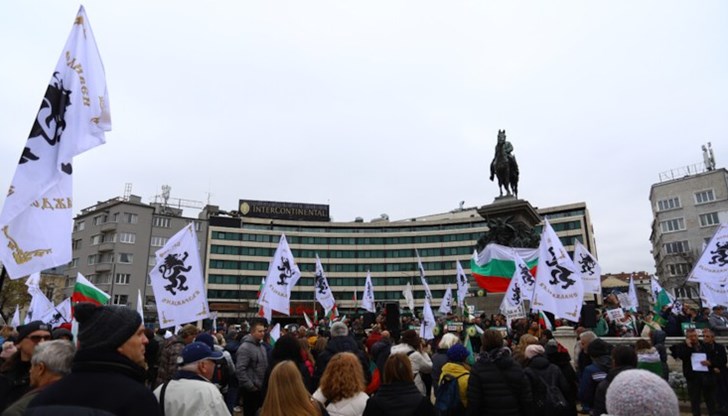 Членове и симпатизанти на партията се събраха пред Народното събрание в защита на българския лев