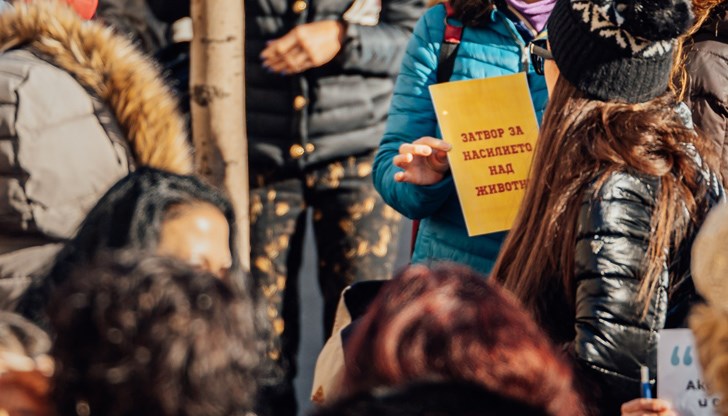 Организаторите на протеста знаят за най-малко още двама насилници на животни като Захари Шулев, който посегна на Мечо Организаторите на протеста знаят за най-малко още двама насилници на животни като Захари Шулев, който посегна на Мечо