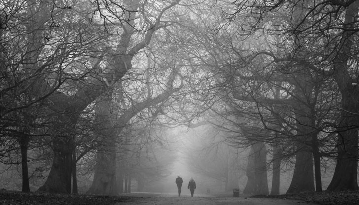 Жълт код е обявен за 7 области в Северна България - Силистра, Русе, Плевен, В. Търново, Враца, Монтана и Видин Жълт код е обявен за 7 области в Северна България - Силистра, Русе, Плевен, В. Търново, Враца, Монтана и Видин