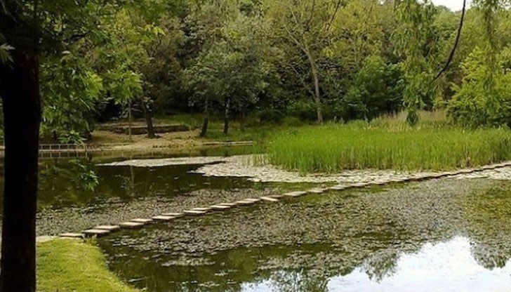 Мостът ще бъде изграден заради Световната купа по кану маратон през 2023 г. Мостът ще бъде изграден заради Световната купа по кану маратон през 2023 г.