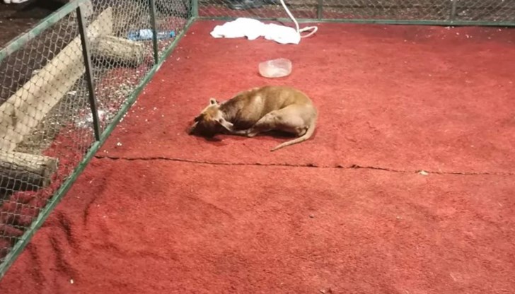 Задържаните са между 17 и 63-годишна възраст Задържаните са между 17 и 63-годишна възраст