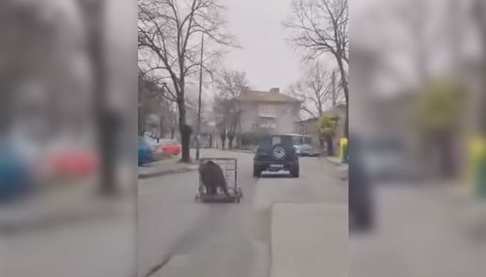 Мъжът е ударил две паркирани коли пред очите на полицаиХванаха