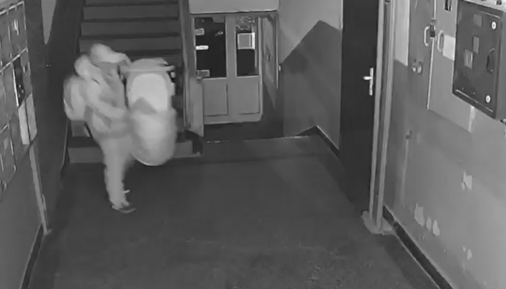 Кражбата е станала на 1 декември към 17:30 ч. Нагъл