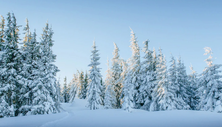Мъжете от отряда прекараха 4 дни в планинатаАкцията по издирването