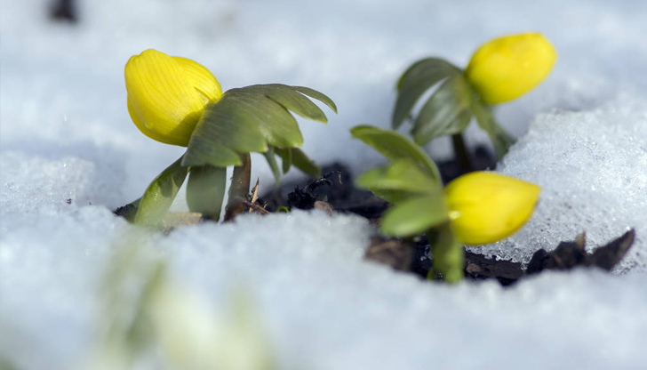 Целият месец януари ще бъде топъл за ЕвропаДекември си отива