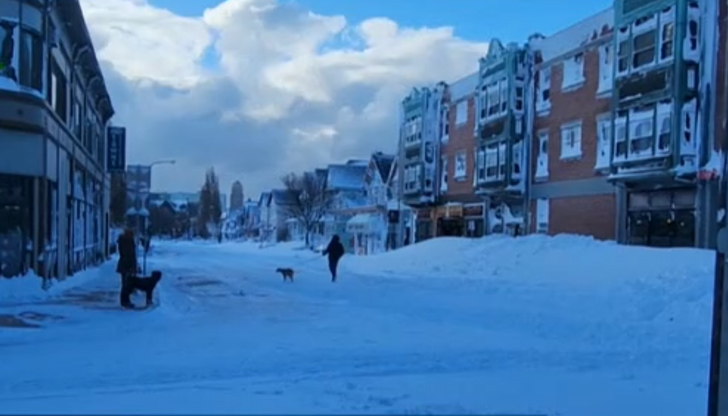 Загиналите са станали жертва най-вече на катастрофи и други инциденти,