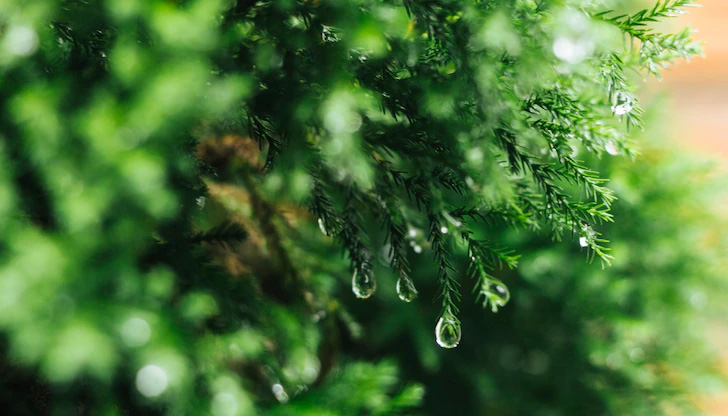 В неделя облачността ще се разкъса и ще намалееДнес в