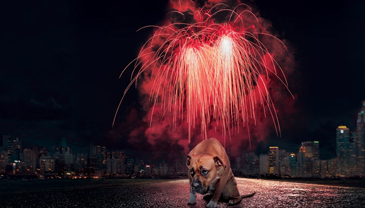 Всички помним началото на най-популярната коледна песен: Тиха нощ...Скъпи съграждани,