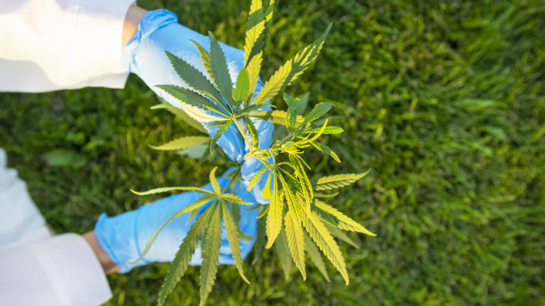 ПП, ГЕРБ и ДБ са внесли два законопроекта, които ще